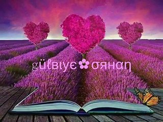 Hüseyin Altın - Yaanmış GüLbiye