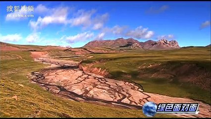 0034-第34集绿色面对面