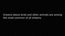 Dream Explanations-Dreams About Birds