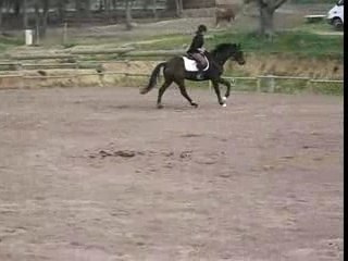 Galop a droite