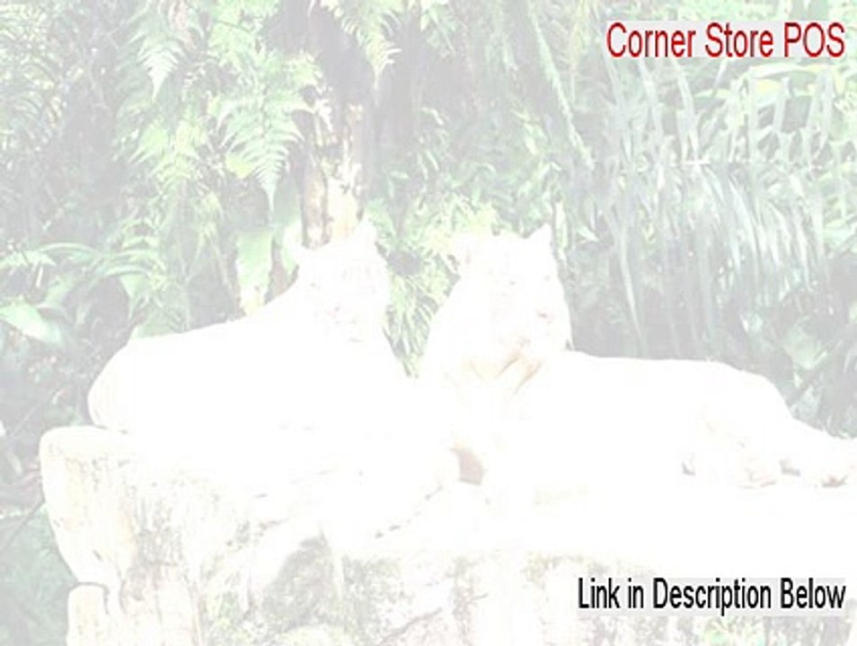 Corner Store POS Keygen (Download Here)