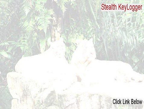 Stealth KeyLogger Keygen (Risk Free Download)