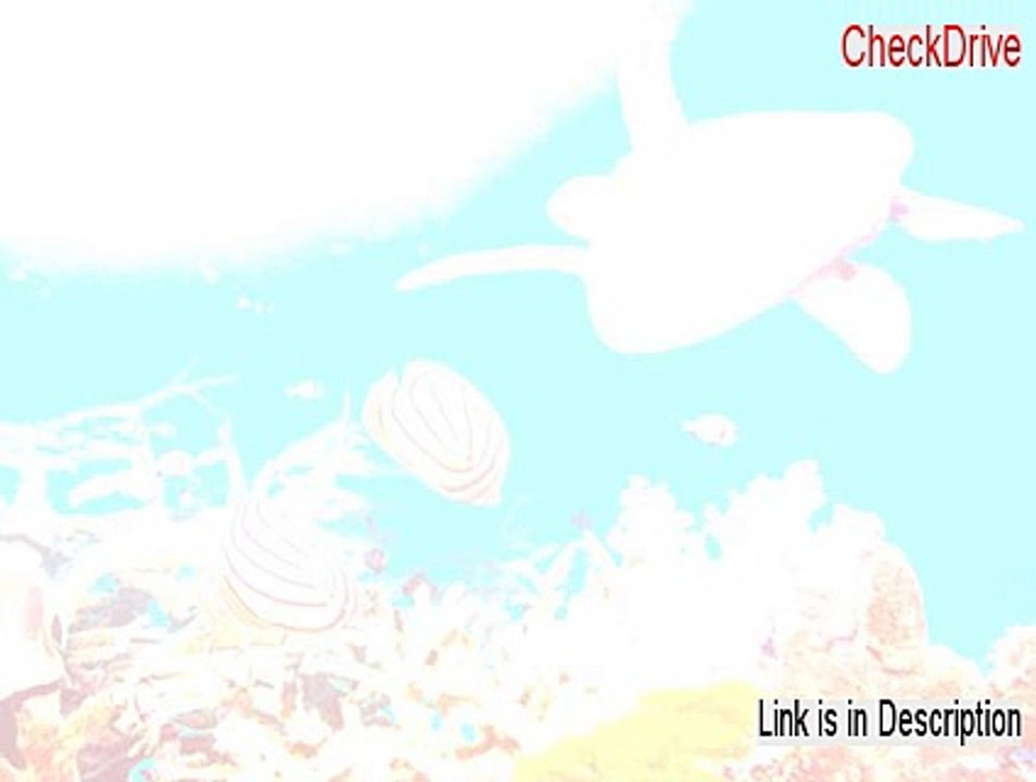 CheckDrive Crack (Download Now)