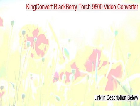 KingConvert BlackBerry Torch 9800 Video Converter Free Download - Download Now