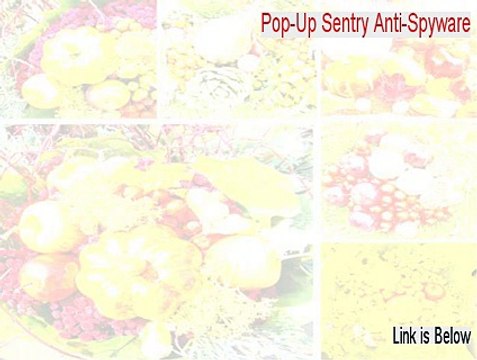Pop-Up Sentry Anti-Spyware Keygen (Free of Risk Download)