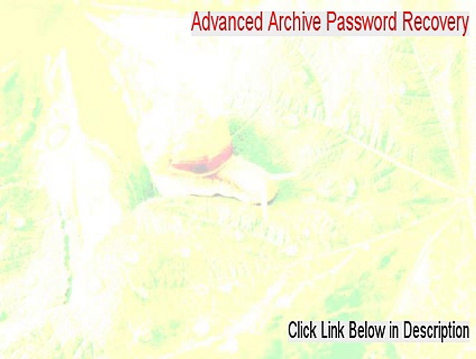 Advanced Archive Password Recovery Serial [Risk Free Download 2015]
