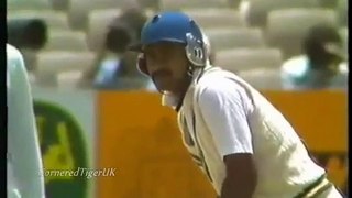 Javed Miandad 60 vs Australia 1984 (Low)