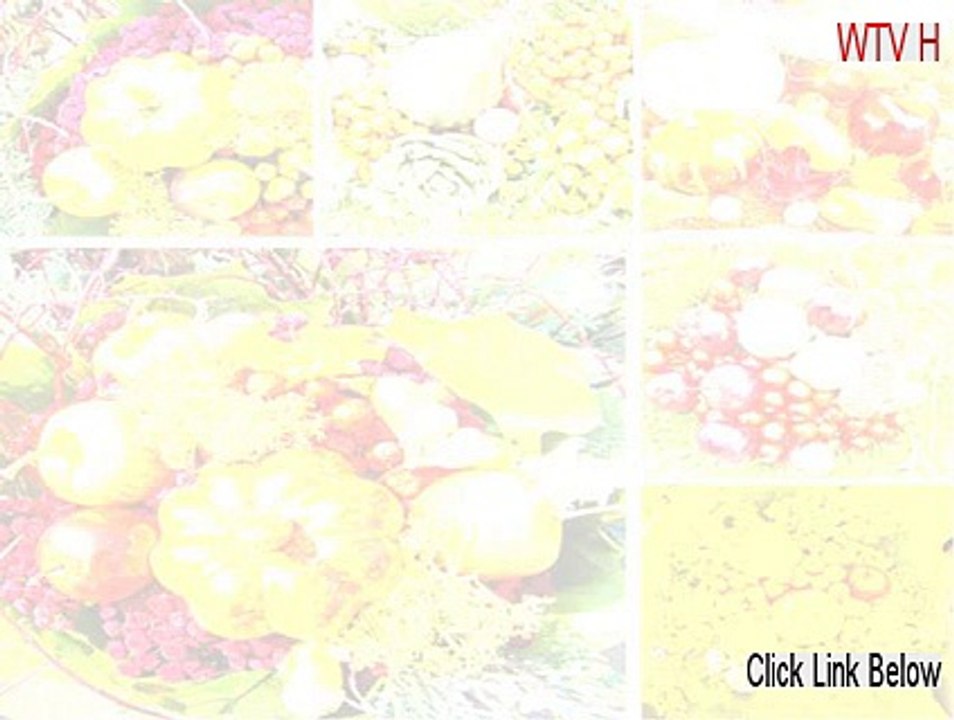 WTV H.264 to MPEG Converter Crack (Download Now)