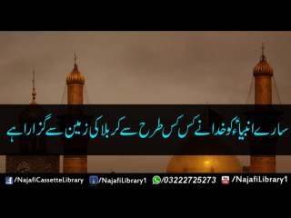 Saray anbia Ko Krbla Dikhai Gai ! Maulana Sadiq Hassan !!