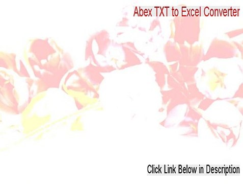 Abex TXT to Excel Converter Cracked (Risk Free Download 2015)