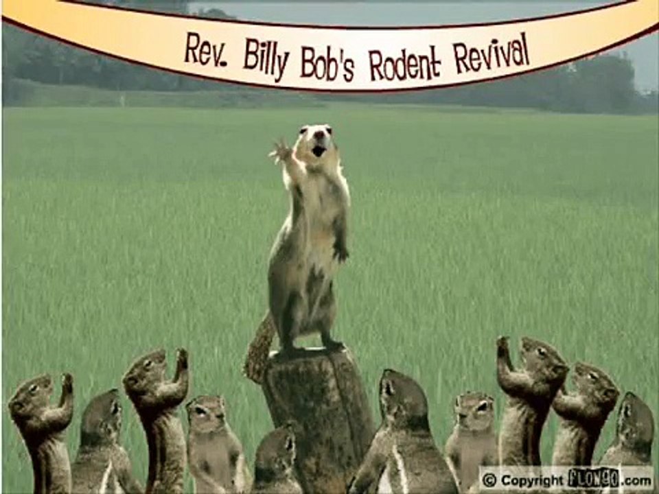 Rev. Billy Bob's Rodent Revival