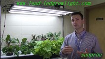 led grow lighting lamp for indoor plant lighting