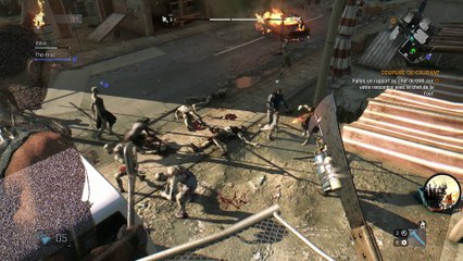 Dying light coop