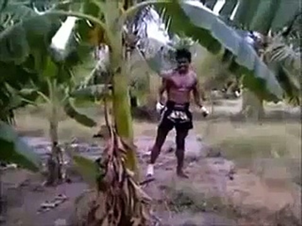 Guy Kick Bananas Tree Down Wow(funny video)