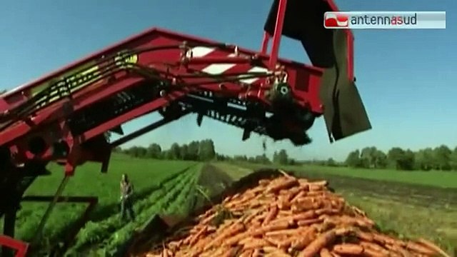 TG 02.02.15 Imu agricola, groviglio inestricabile. Scadenza il 10 febbraio