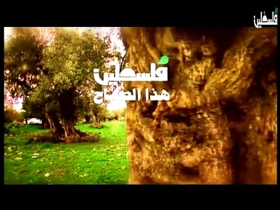 هذا الصباح 3-2 الثلاثاء ج1