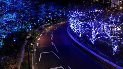 Tokyo Midtown Illuminations