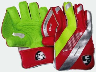 Top 10 Wicket Keeping Gloves to buy