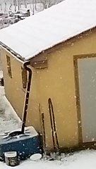 neve