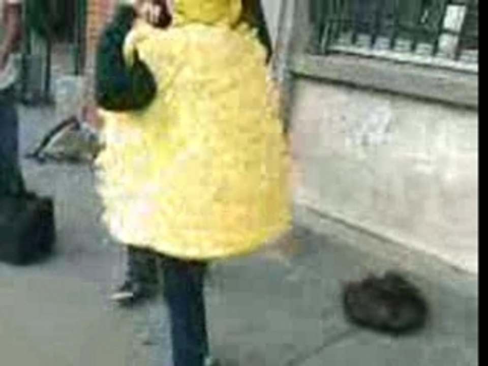 VID010