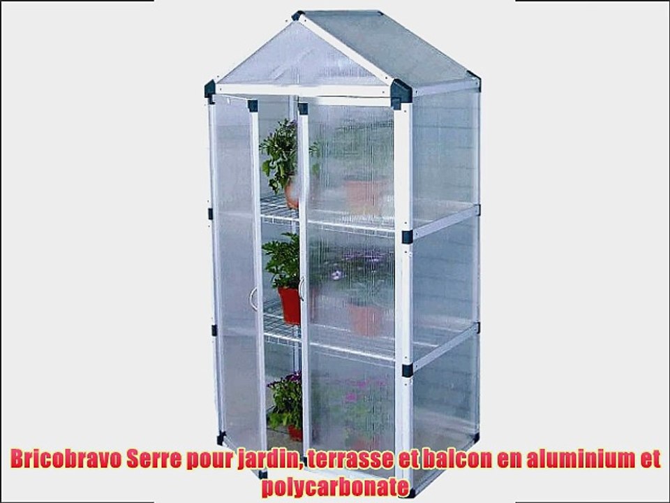 Bricobravo Serre pour jardin terrasse et balcon en aluminium et polycarbonate