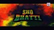 SHO Bhatti Episode 29 HUM SITARAY Drama