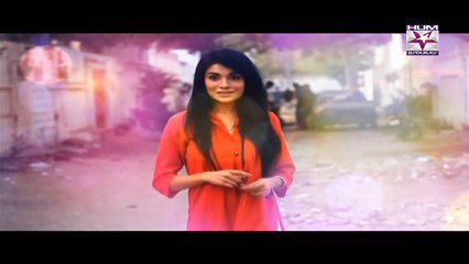 SHO Bhatti Episode 48 HUMSITARAY TV Drama