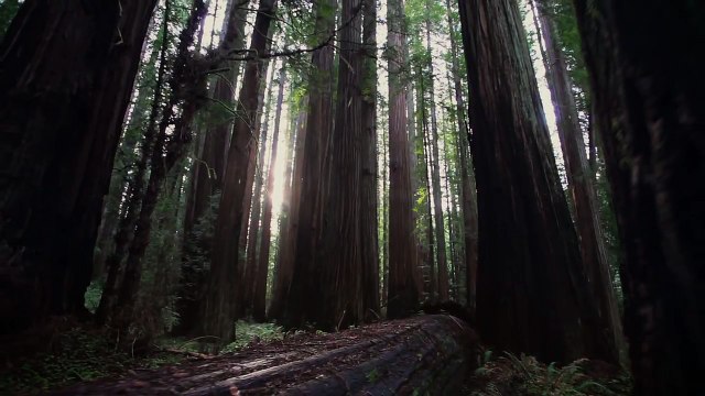 Official 2015 Jeep Super Bowl Commercial Beautiful Lands Jeep Renegade (HD)