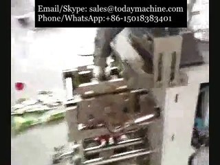 automatique des sacs d'étanchéité verticales la machine d'emballage pour poudre~1