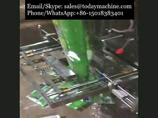 équipement automatique d'emballage de sac de poudre de chili~1