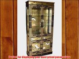 Oriental Chinese Furniture - Gold Leaf Display Cabinet