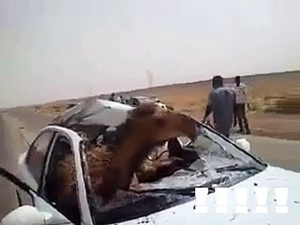 حادث مرور في طريق سرت - ليبيا... أم ...2015