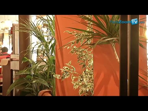 Café Benjamin bar brasserie 75001 Paris