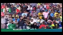 Pakistani Cricket Crowd Welcome Afridi