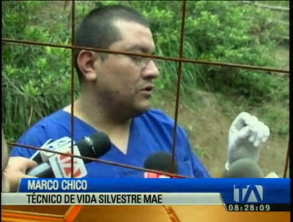 600 microchips se colocan a animales silvestres de los zoológicos de Cuenca
