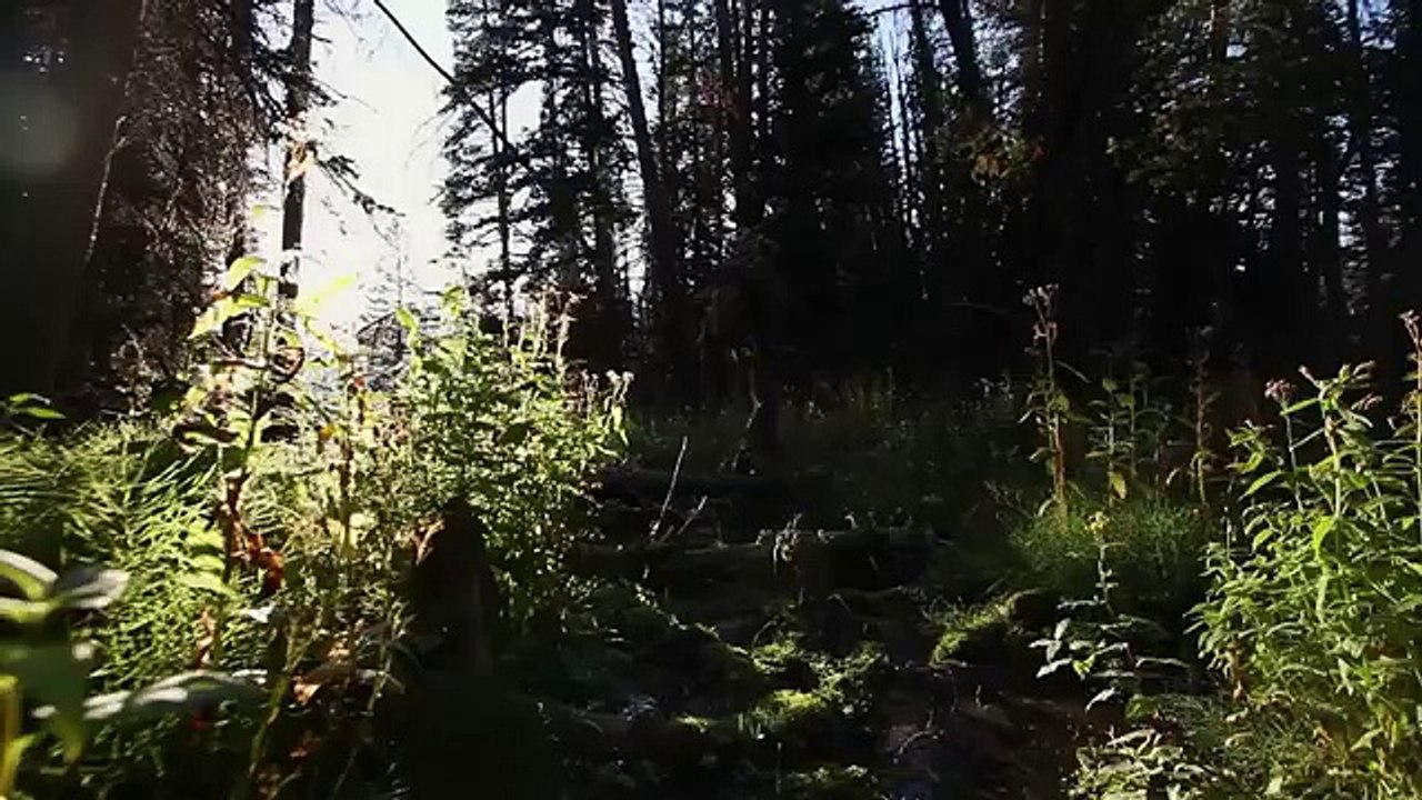 Channel intro for Author Jeremy Brown