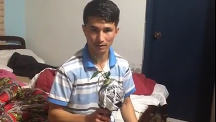 Hazaragi funny clip ( just for fun )