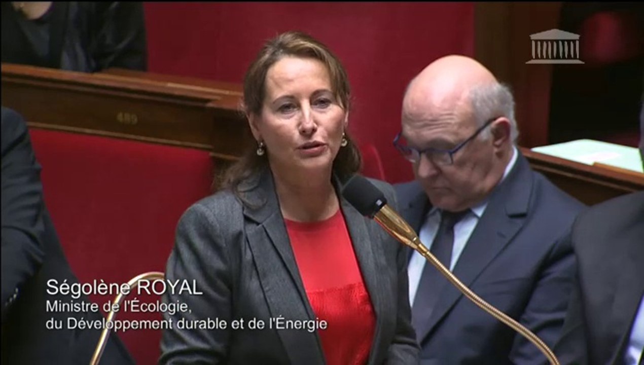 S. royal répond à une QAG sur le Center Parks de Roybon