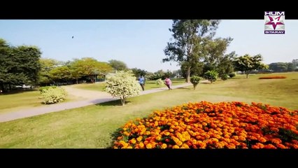 Rung Episode 1 HUM SITARAY Drama