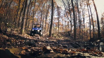 Yamaha Wolverine R-Spec