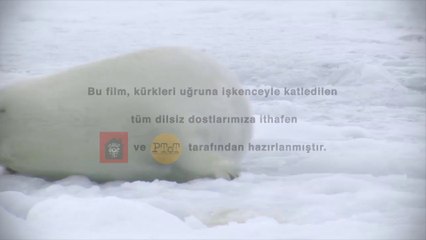 Kürkünü Çıkar Vicdanını Giy!