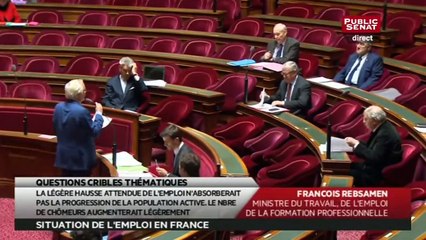 Situation de l'emploi - QUESTIONS CRIBLES