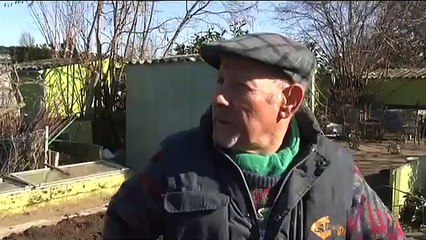 Série jardins : Dans les jardins familiaux, l'heure est aux semis