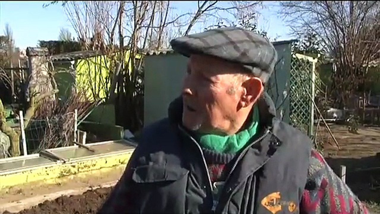 Série jardins : Dans les jardins familiaux, l'heure est aux semis