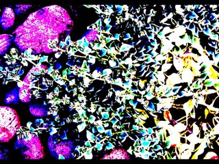 廃墟で聴く中森明菜「難破船」~積丹半島 西の河原 Akina Nakamori in Ruins