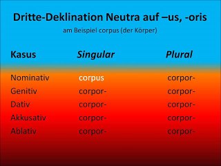 Dritte Deklination Neutra auf -us, -oris