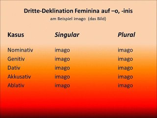Dritte-Deklination Feminina auf –s mit einem Konsonanten im Stammauslaut