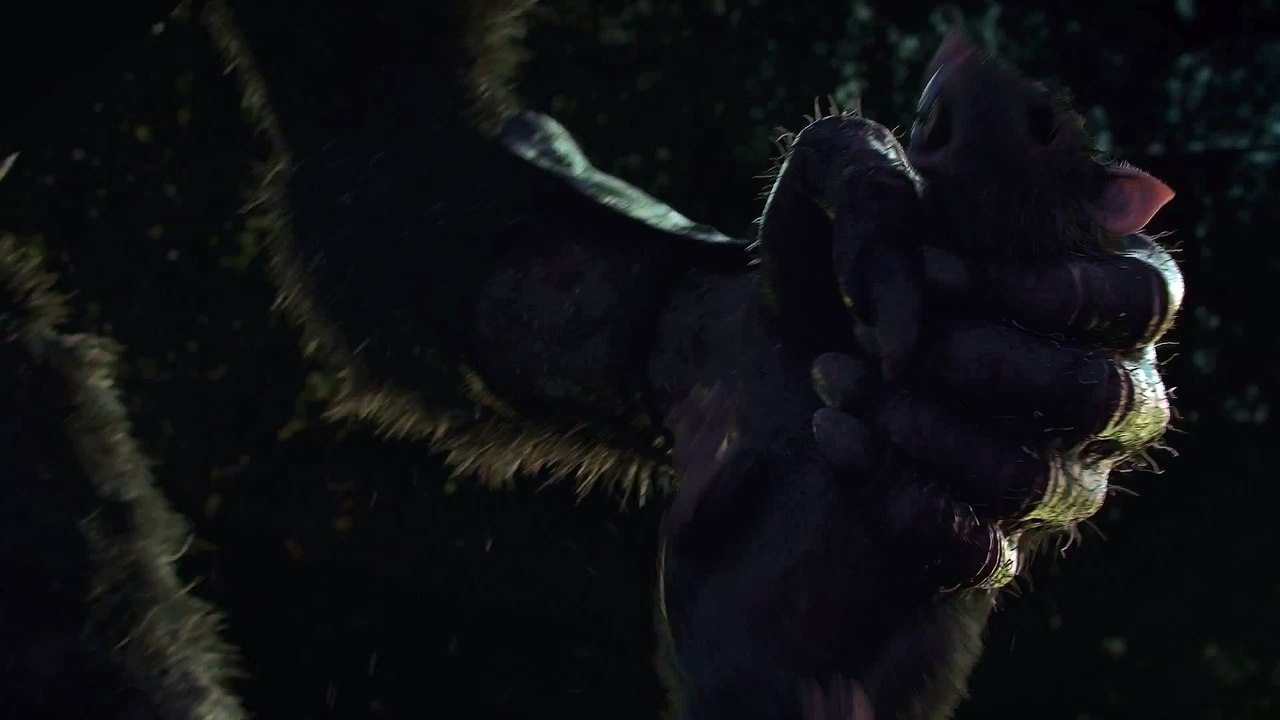 Warhammer End Times Vermintide : trailer d'annonce