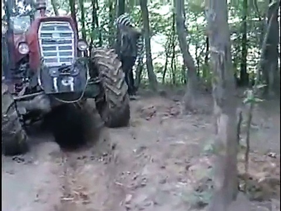 Profesionalac za traktor , IMT 589 , Izvlacenje drva , Professional on tractor