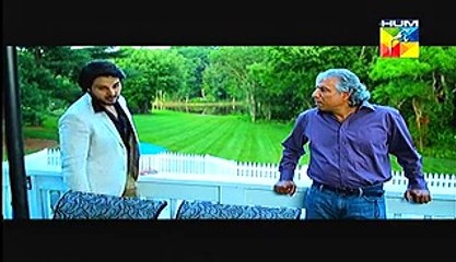 Zid Episode 7 Full Feb 03, 2015 Hum TV Drama - Video Dailymotion